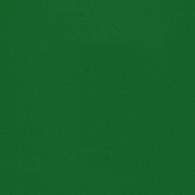 6037 RAL Зеленый